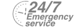 24/7 Emergency Service Pest Control in Upminster, North Ockendon, RM14. Call Now! 020 8166 9746