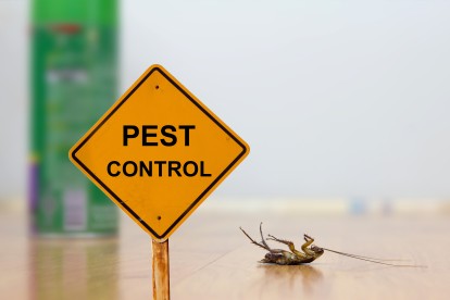 Pest Contol in Upminster, North Ockendon, RM14. Call Now 020 8166 9746